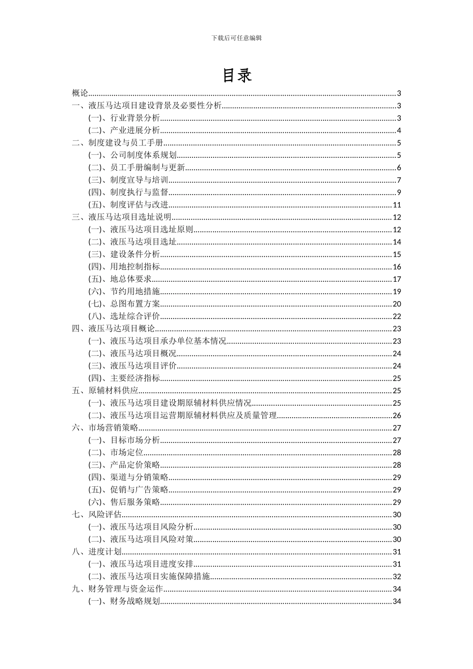 2024年液压马达项目深度研究分析报告_第2页
