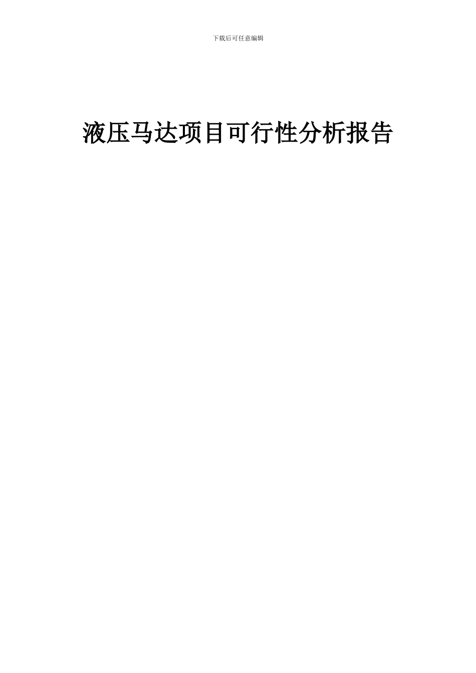 2024年液压马达项目可行性分析报告_第1页