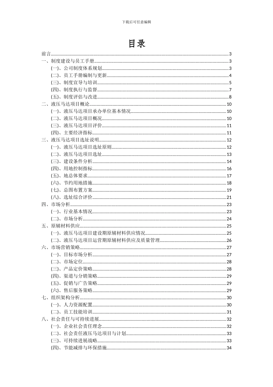 2024年液压马达项目可行性分析报告_第2页