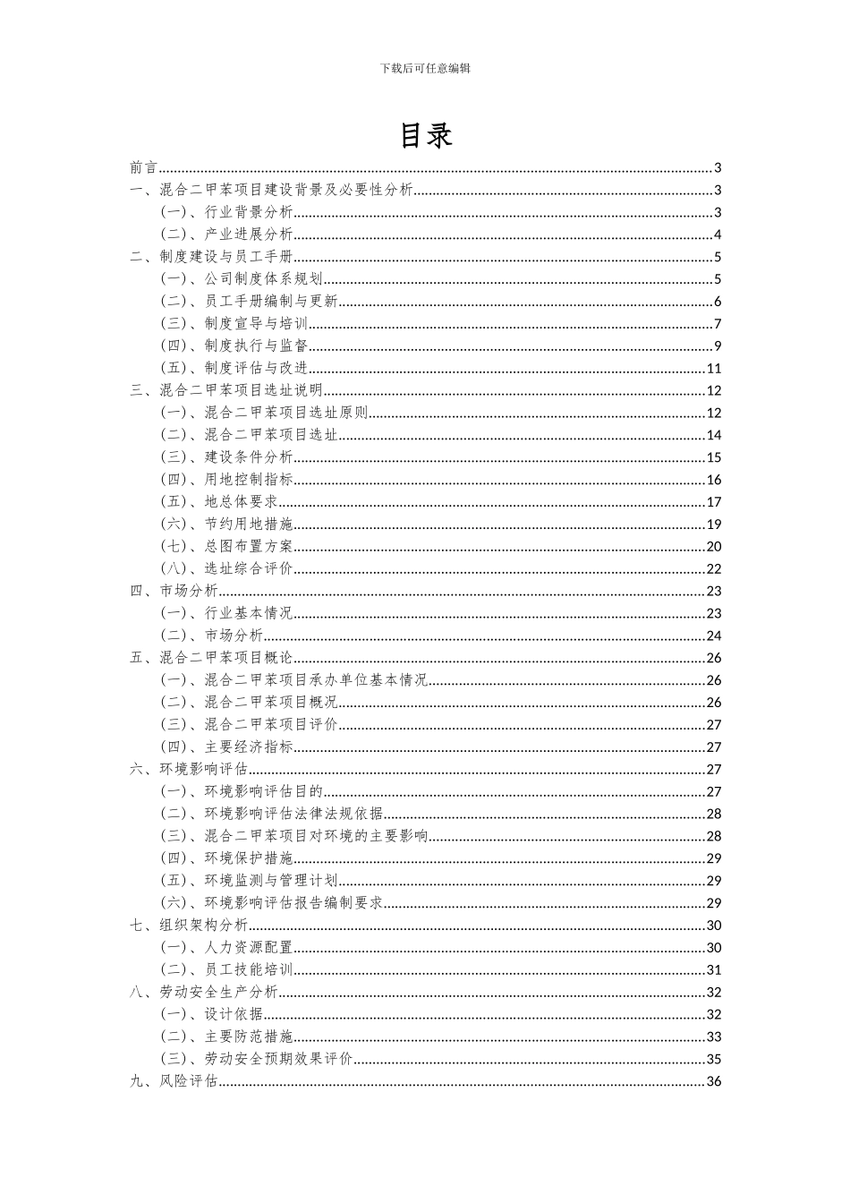 2024年混合二甲苯项目深度研究分析报告_第2页