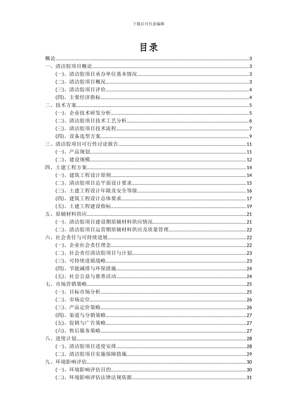 2024年清洁胶项目可行性研究报告_第2页