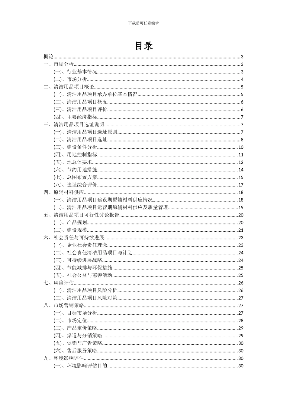 2024年清洁用品项目投资分析及可行性报告_第2页