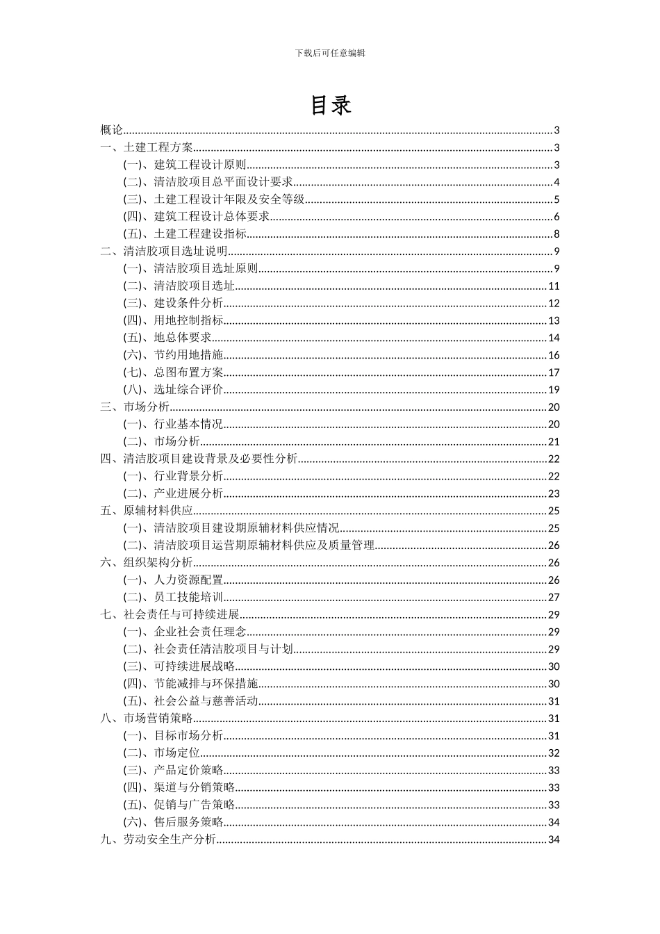2024年清洁胶项目可行性分析报告_第2页