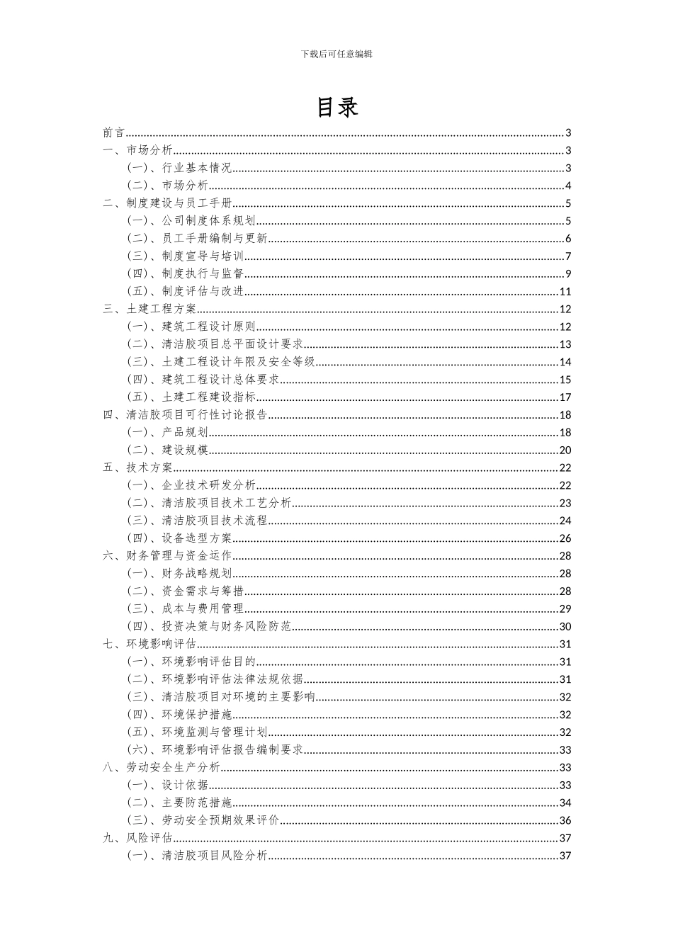 2024年清洁胶项目深度研究分析报告_第2页
