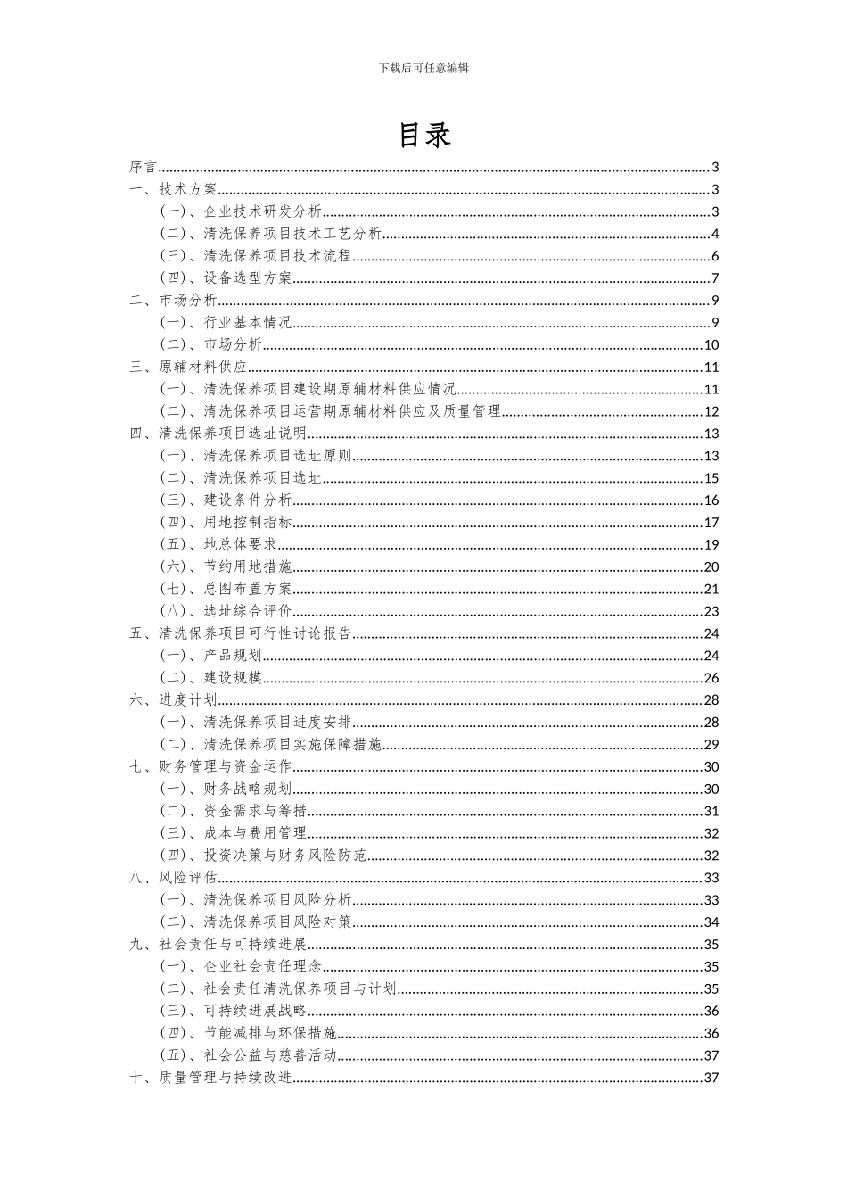 2024年清洗保养项目可行性研究报告_第2页