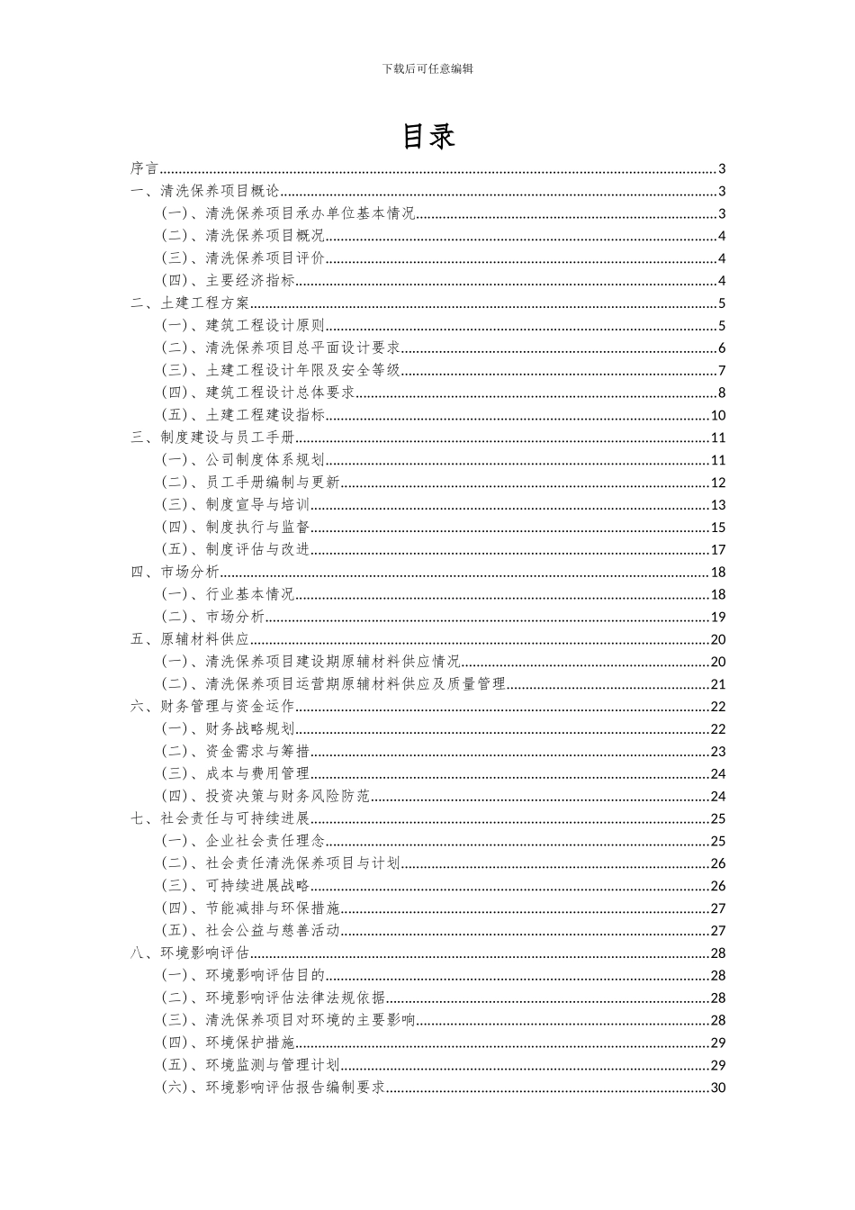 2024年清洗保养项目投资分析及可行性报告_第2页