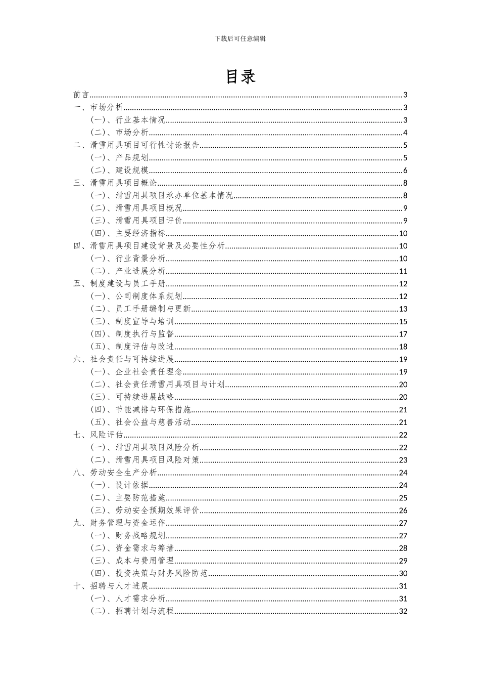2024年滑雪用具项目深度研究分析报告_第2页