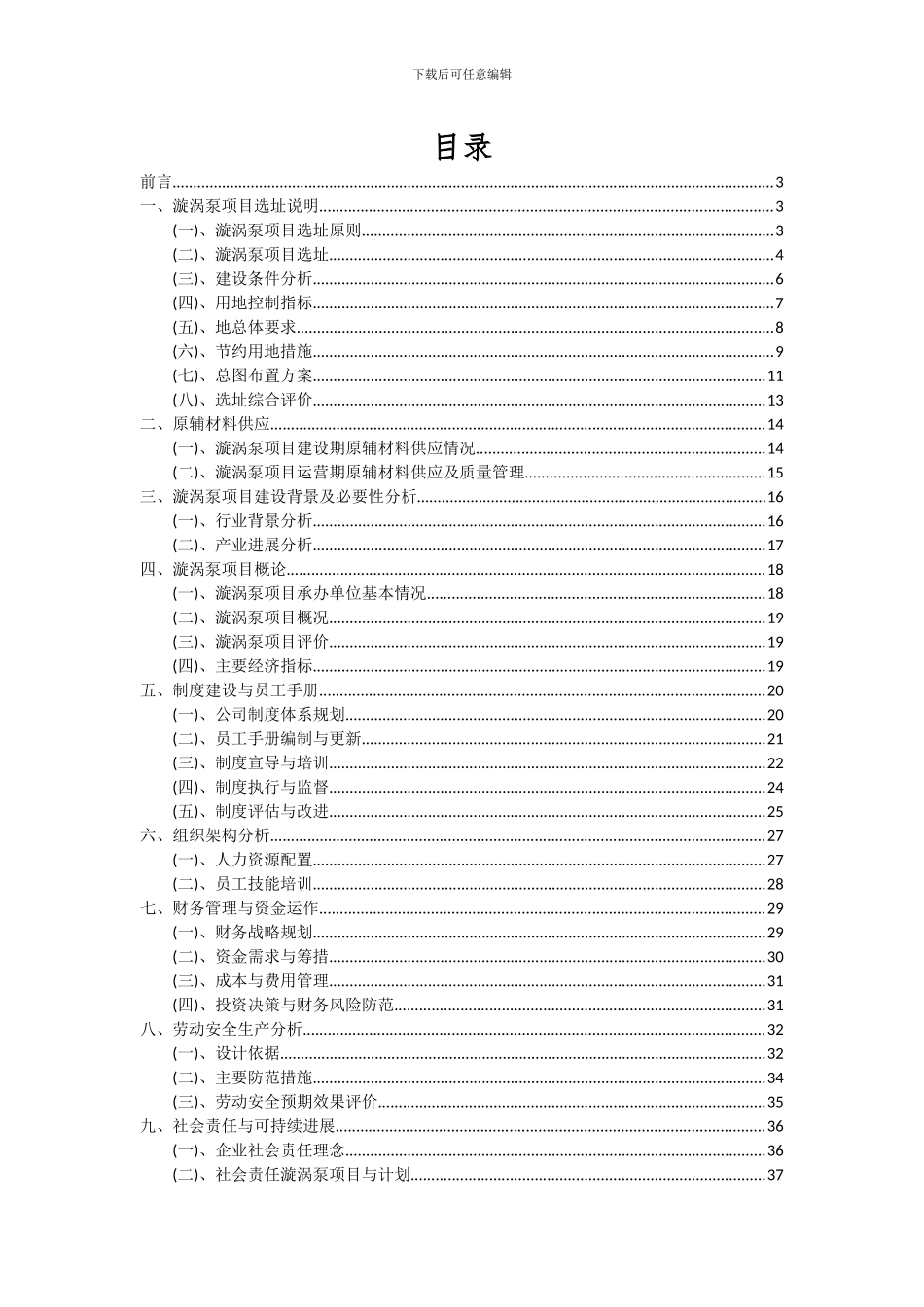 2024年漩涡泵项目可行性分析报告_第2页