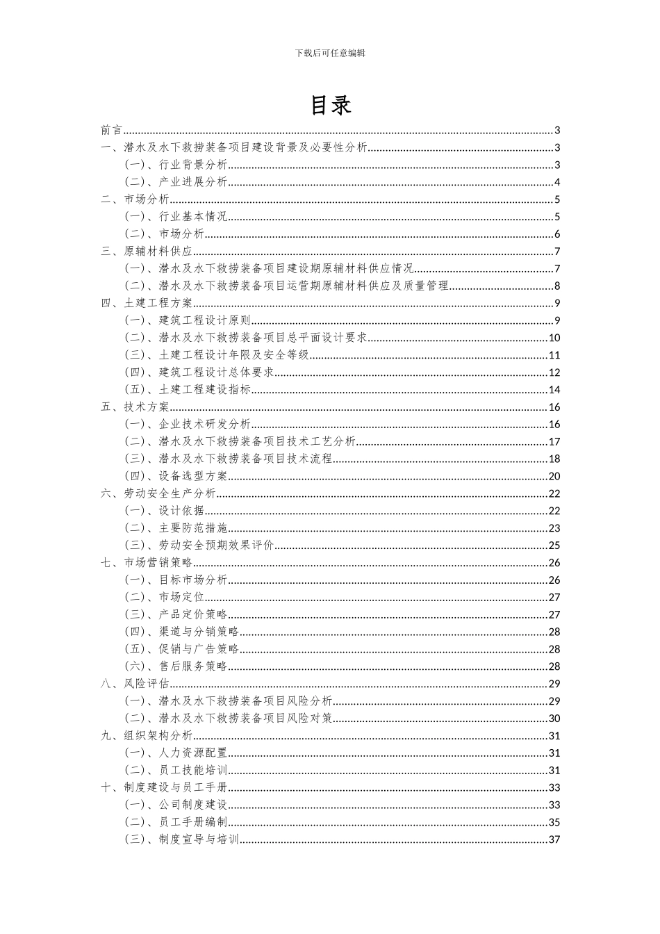 2024年潜水及水下救捞装备项目深度研究分析报告_第2页