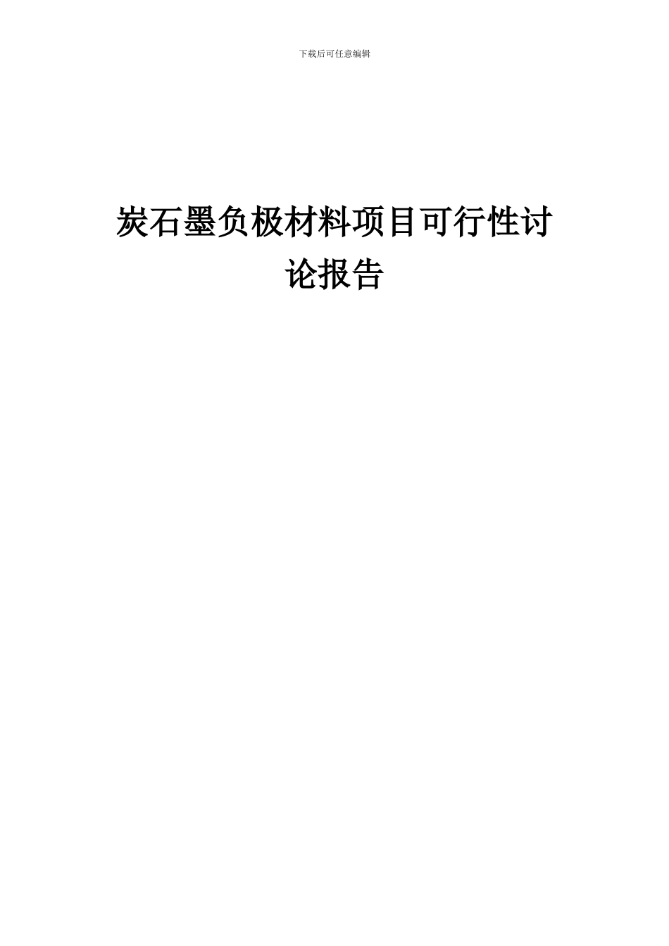 2024年炭石墨负极材料项目可行性研究报告_第1页