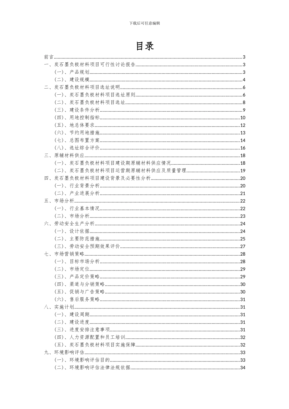 2024年炭石墨负极材料项目可行性研究报告_第2页