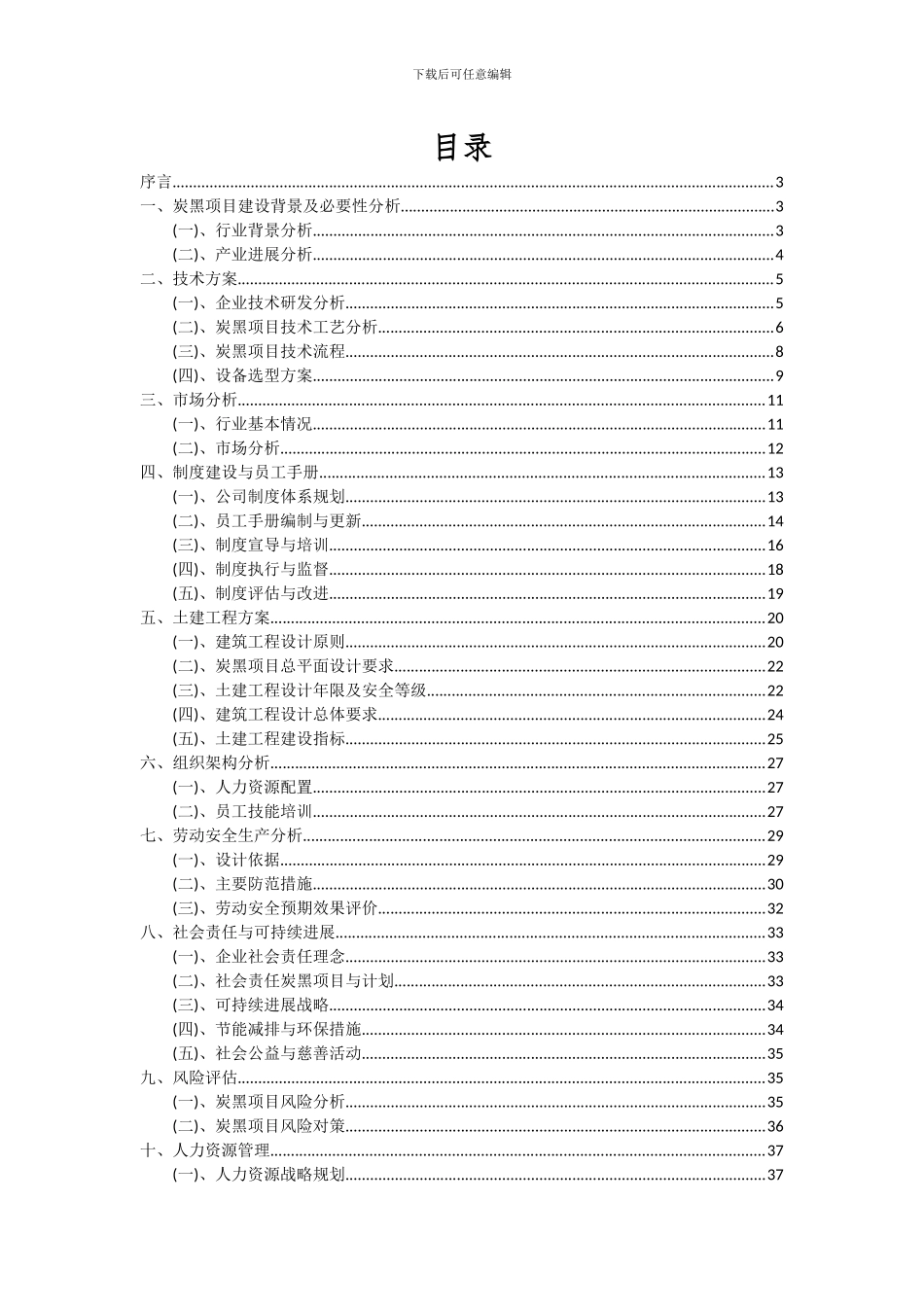 2024年炭黑项目深度研究分析报告_第2页