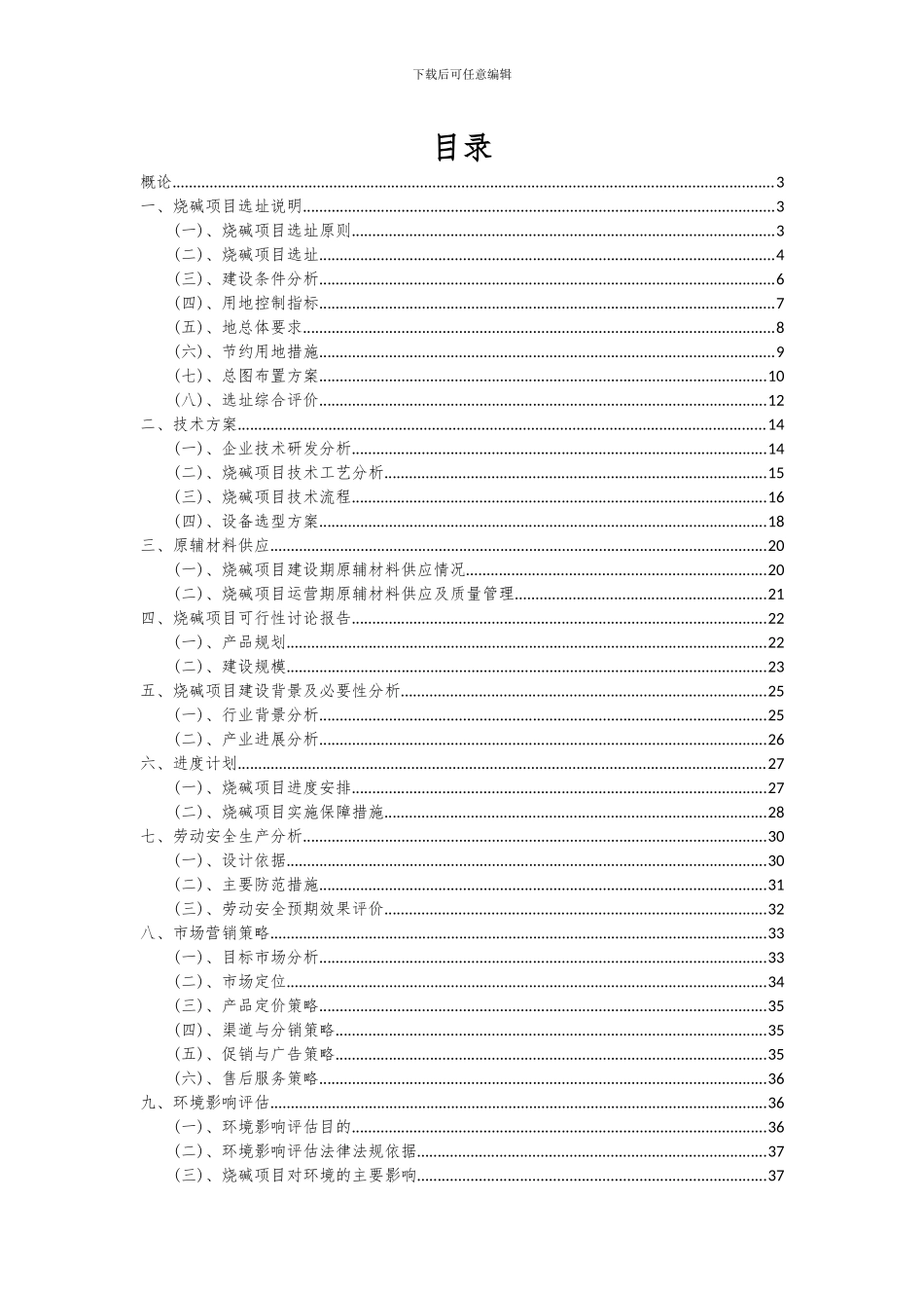 2024年烧碱项目可行性研究报告_第2页