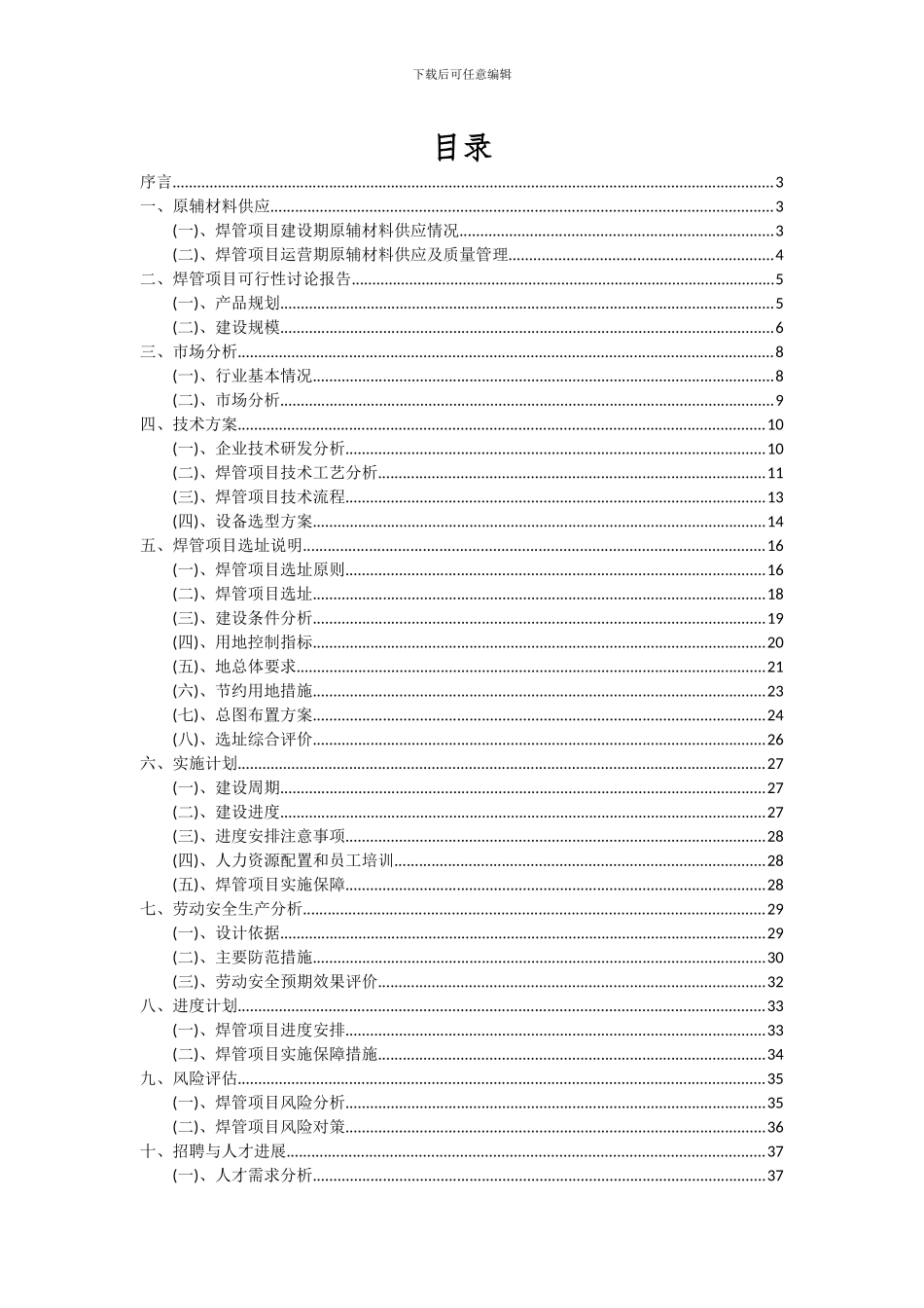 2024年焊管项目可行性研究报告_第2页