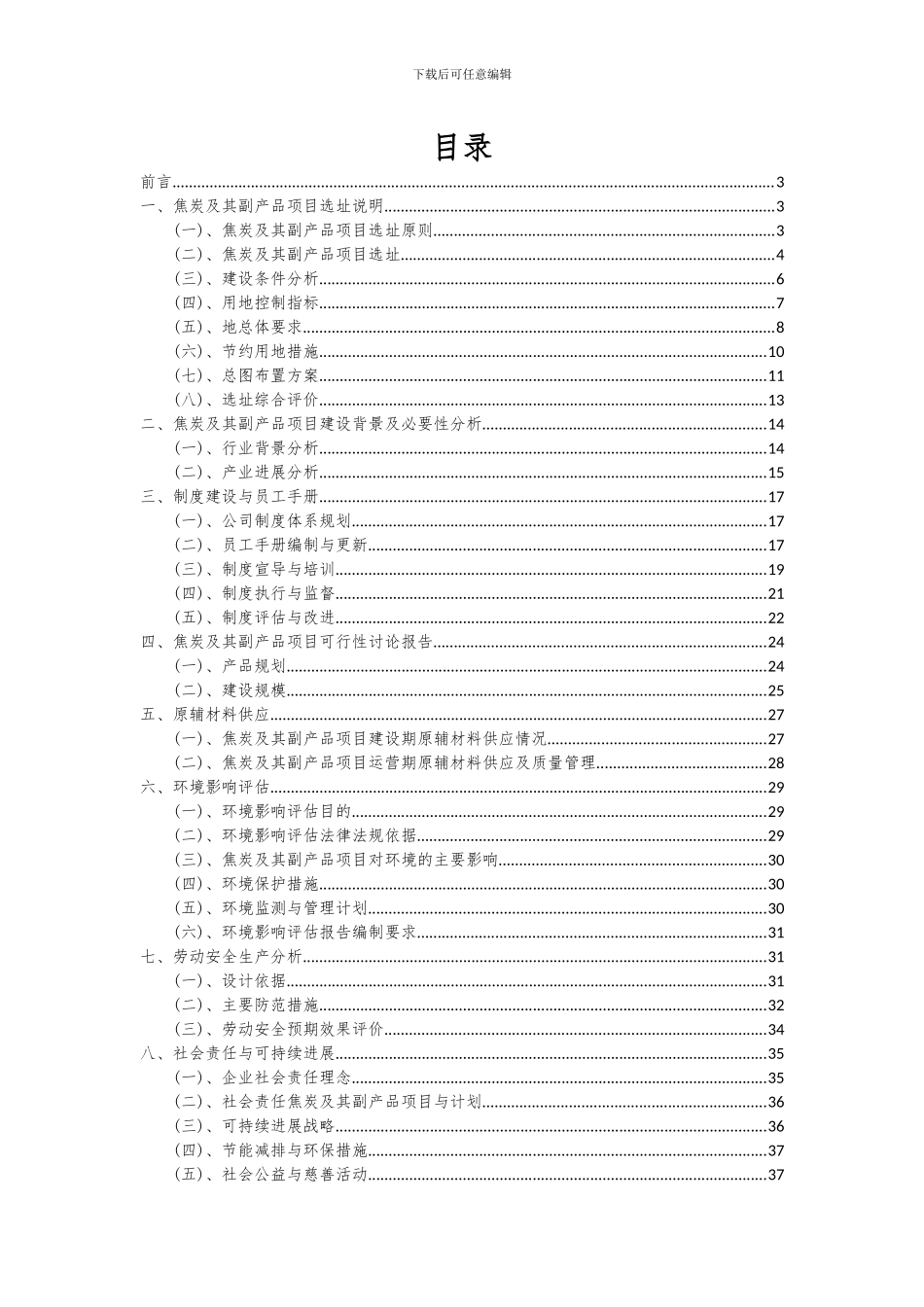 2024年焦炭及其副产品项目可行性研究报告_第2页
