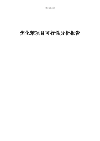 2024年焦化苯项目可行性分析报告