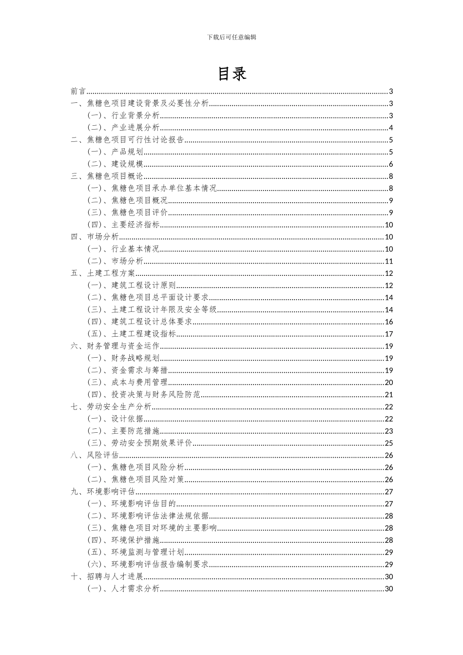 2024年焦糖色项目可行性分析报告_第2页