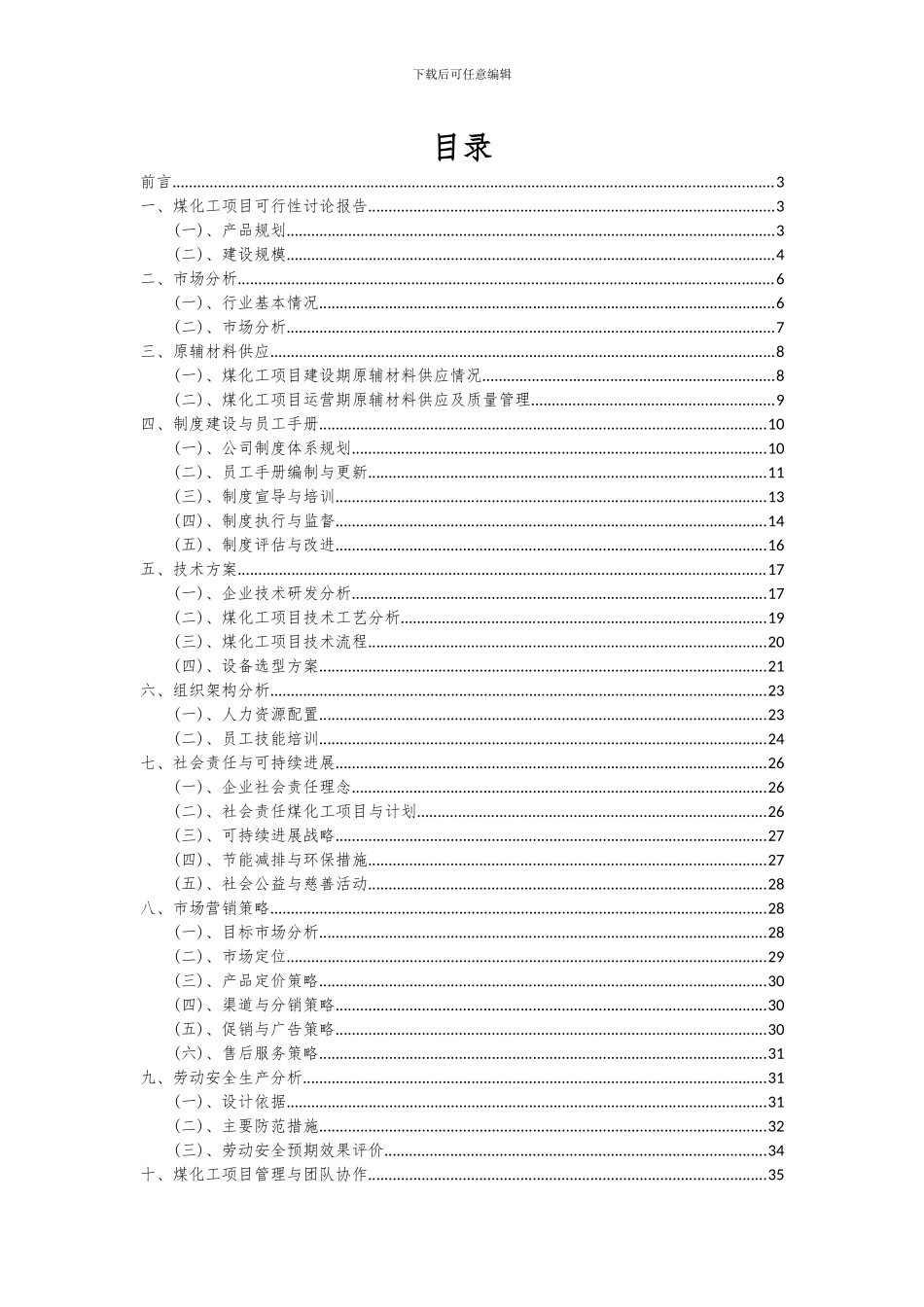 2024年煤化工项目深度研究分析报告_第2页