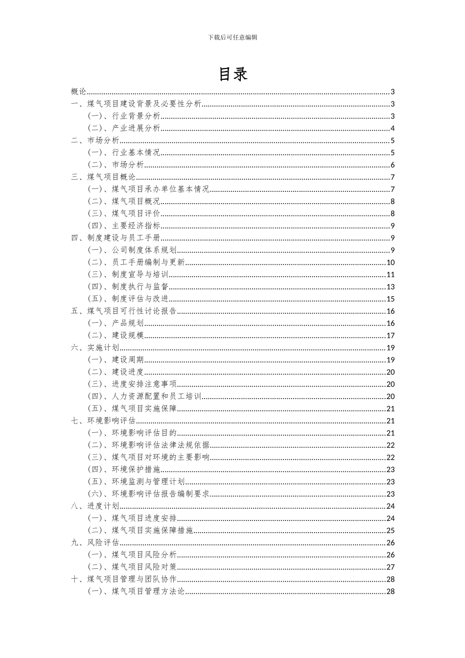 2024年煤气项目可行性研究报告_第2页