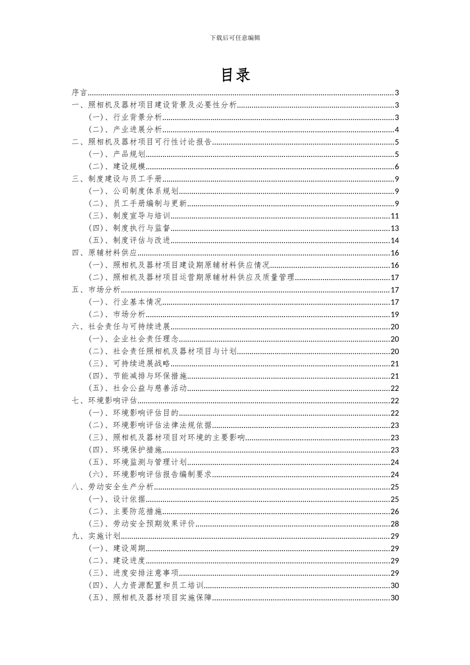 2024年照相机及器材项目深度研究分析报告_第2页