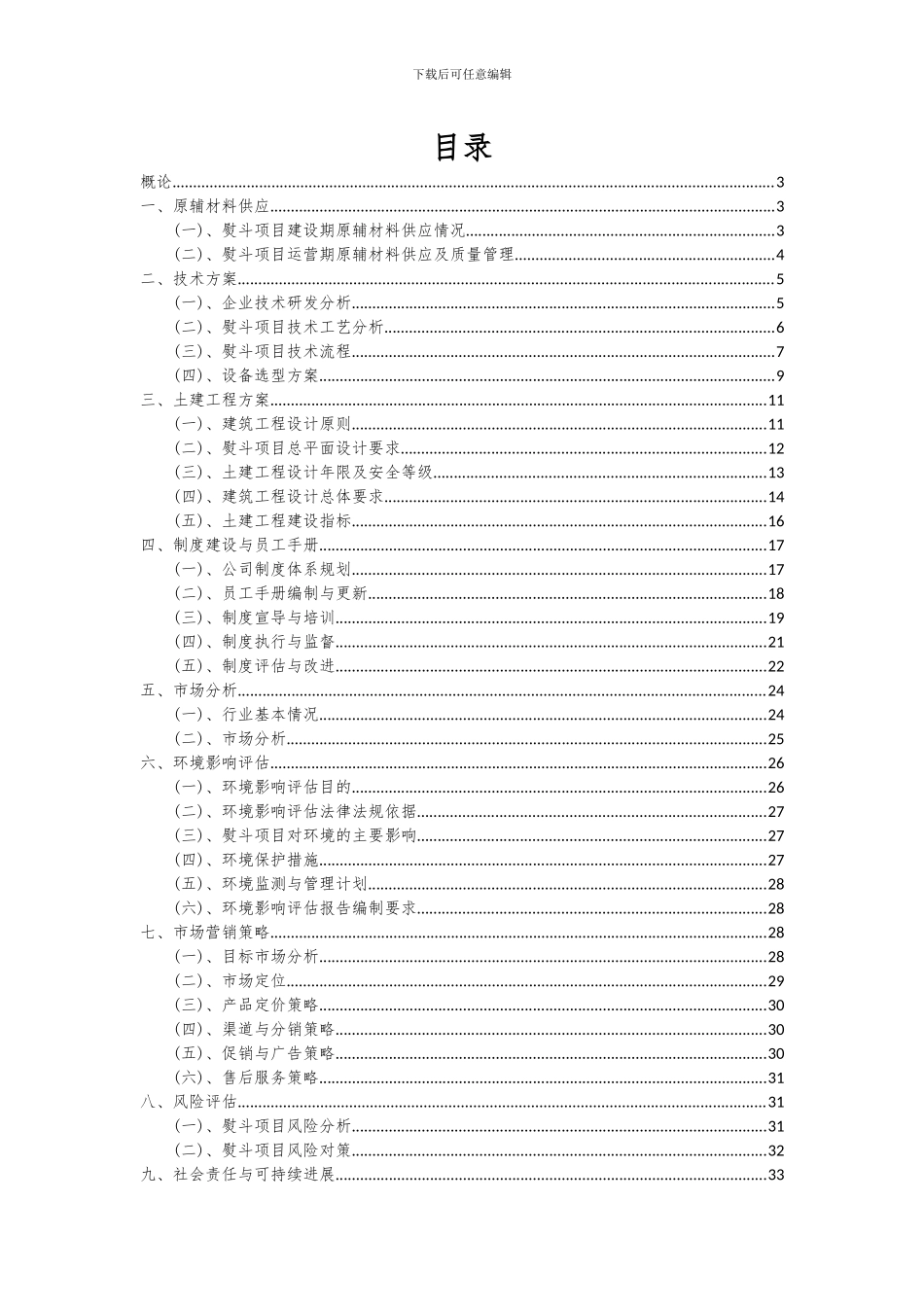 2024年熨斗项目可行性分析报告_第2页