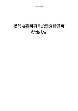 2024年燃气电磁阀项目投资分析及可行性报告