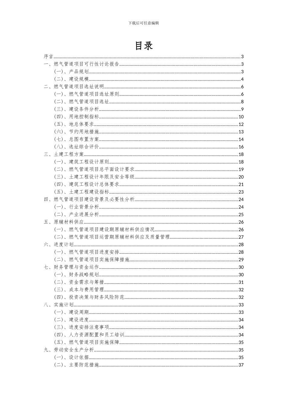 2024年燃气管道项目可行性研究报告_第2页