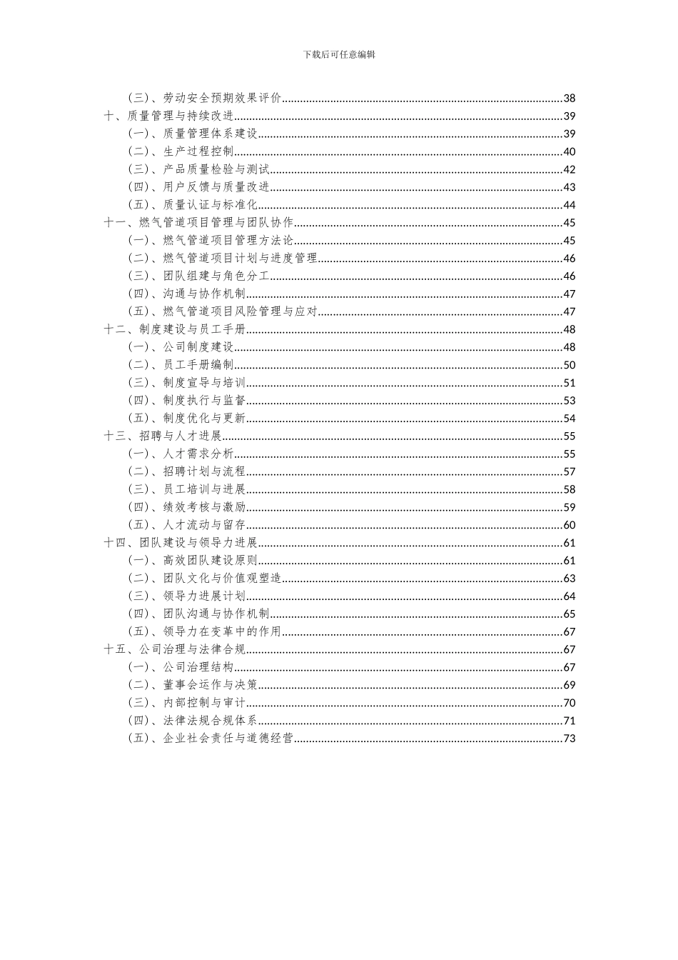 2024年燃气管道项目可行性研究报告_第3页