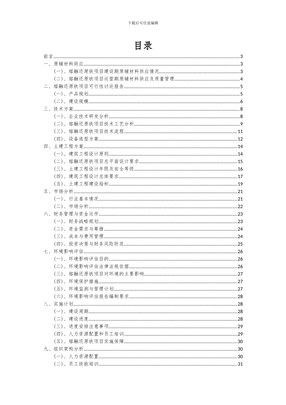 2024年熔融还原铁项目可行性分析报告_第2页