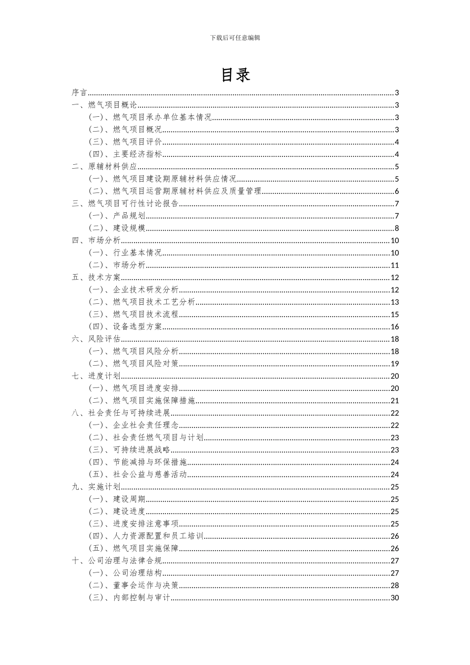 2024年燃气项目可行性分析报告_第2页