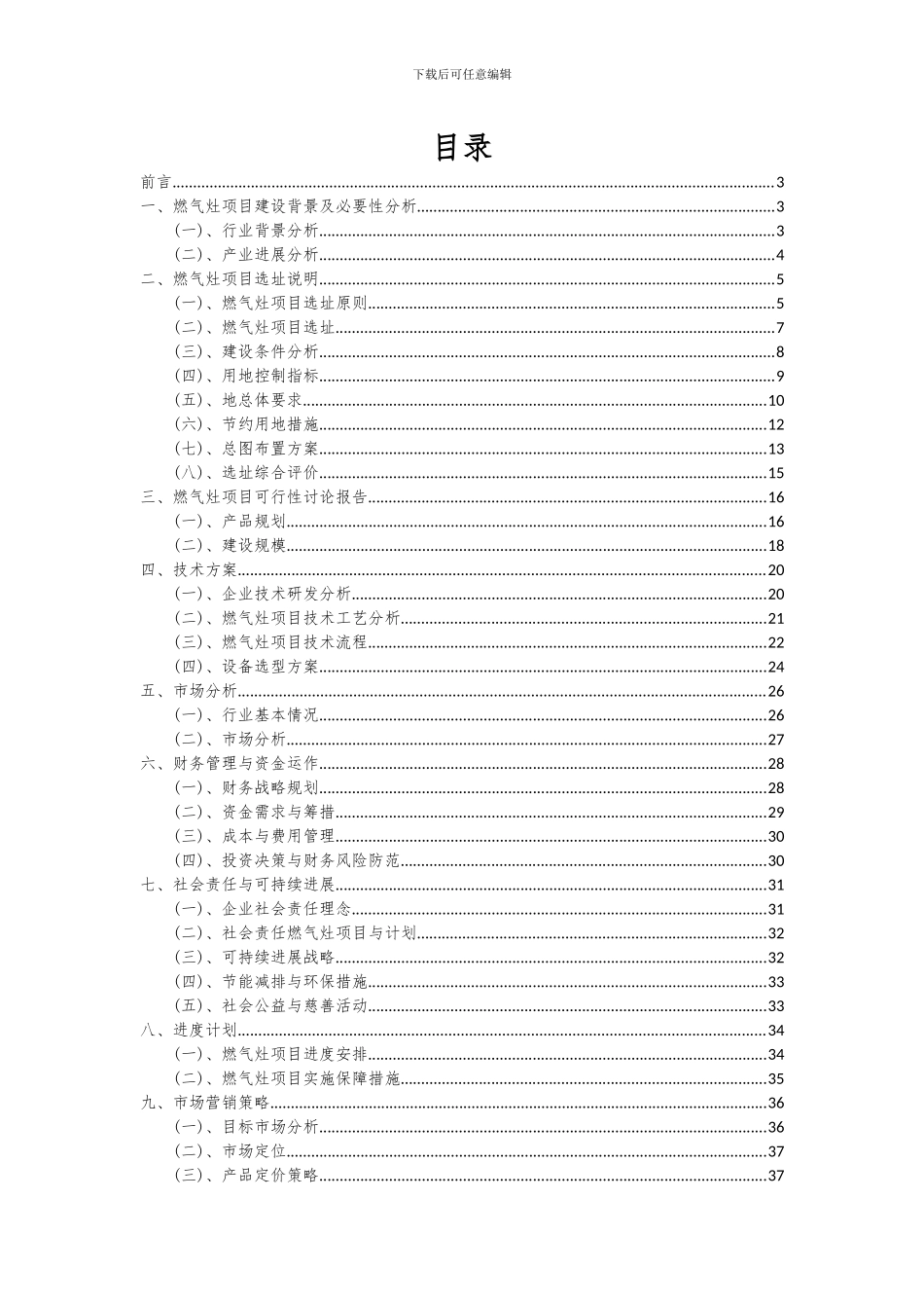 2024年燃气灶项目深度研究分析报告_第2页