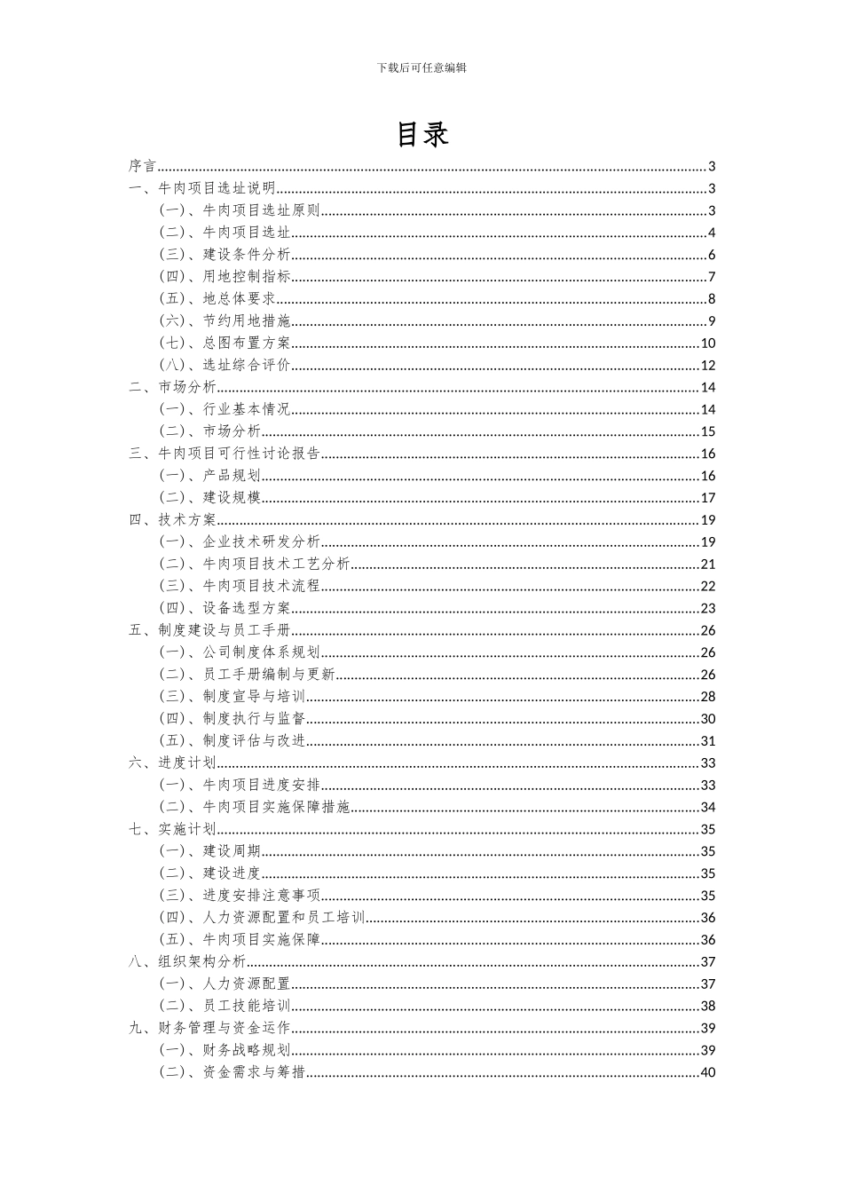 2024年牛肉项目深度研究分析报告_第2页