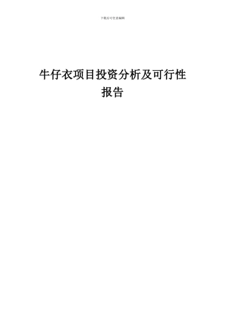 2024年牛仔衣项目投资分析及可行性报告