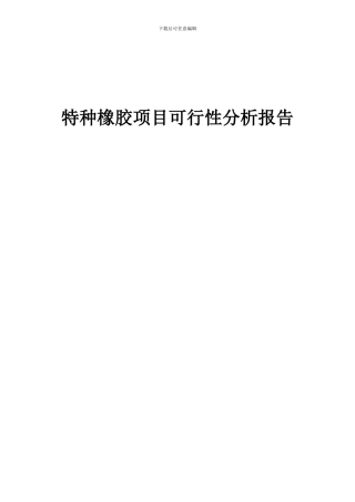 2024年特种橡胶项目可行性分析报告