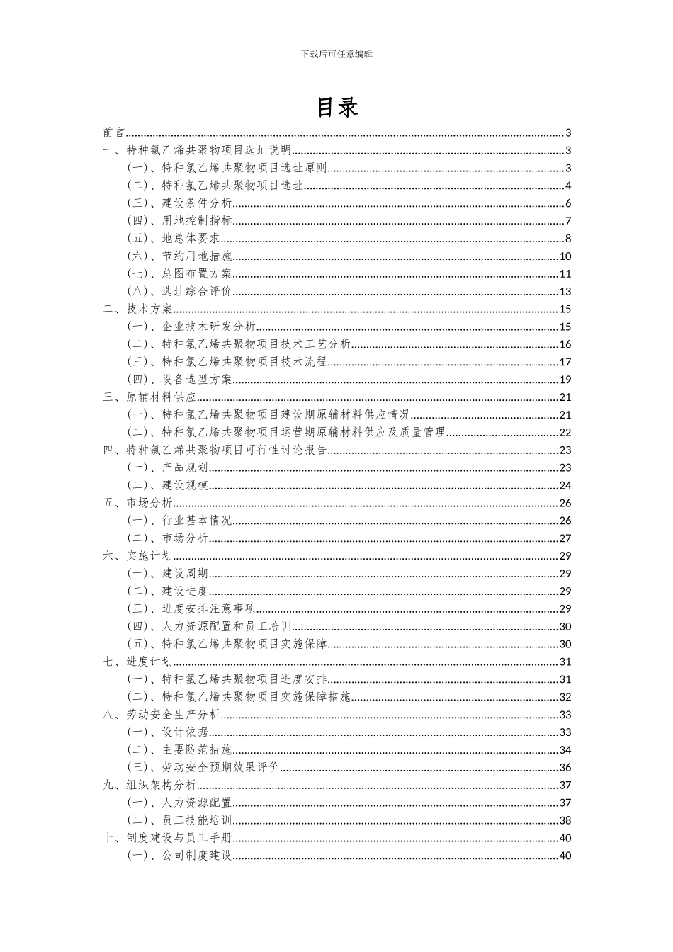 2024年特种氯乙烯共聚物项目投资分析及可行性报告_第2页