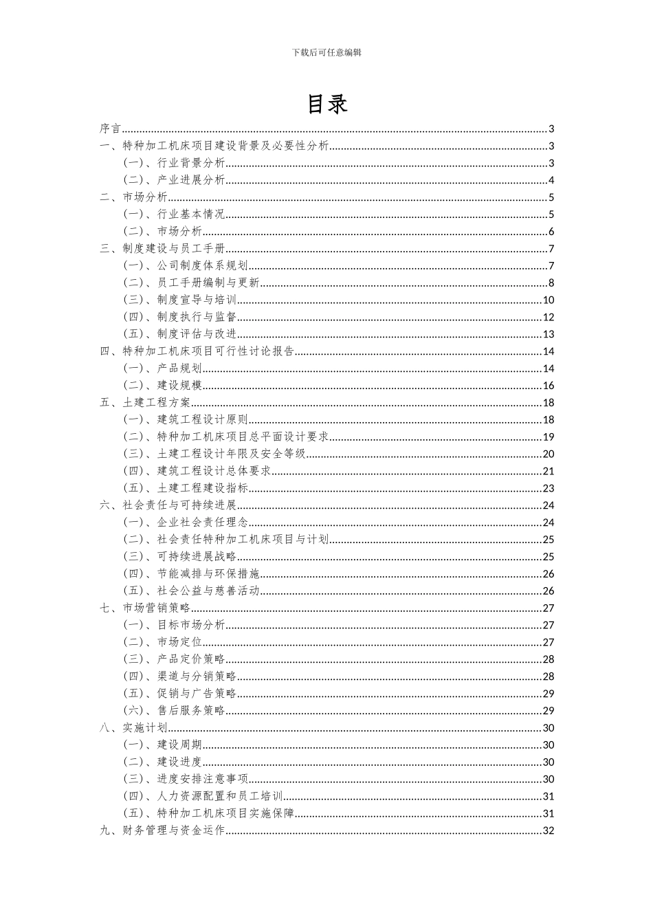 2024年特种加工机床项目投资分析及可行性报告_第2页