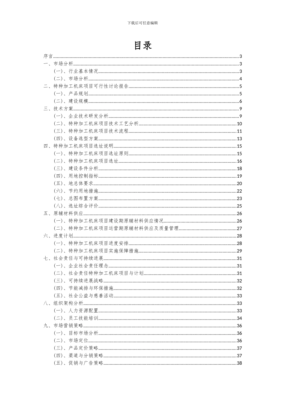 2024年特种加工机床项目可行性分析报告_第2页