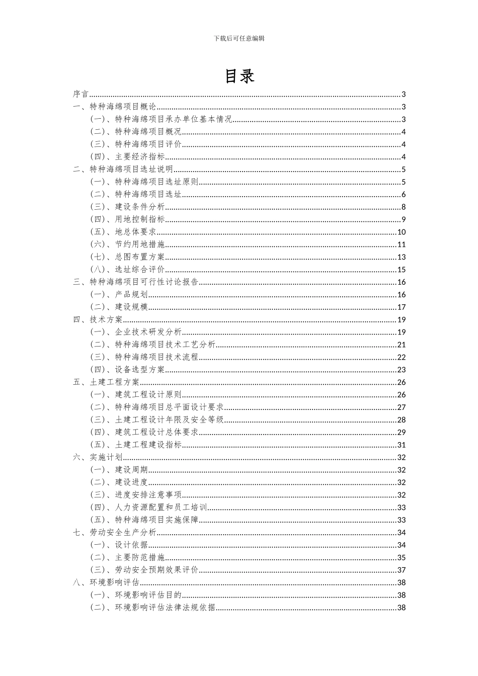 2024年特种海绵项目可行性分析报告_第2页