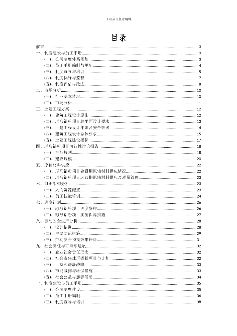 2024年球形铝粉项目投资分析及可行性报告_第2页