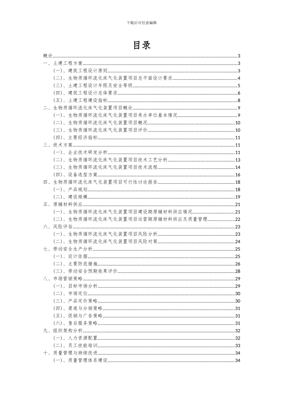 2024年生物质循环流化床气化装置项目投资分析及可行性报告_第2页