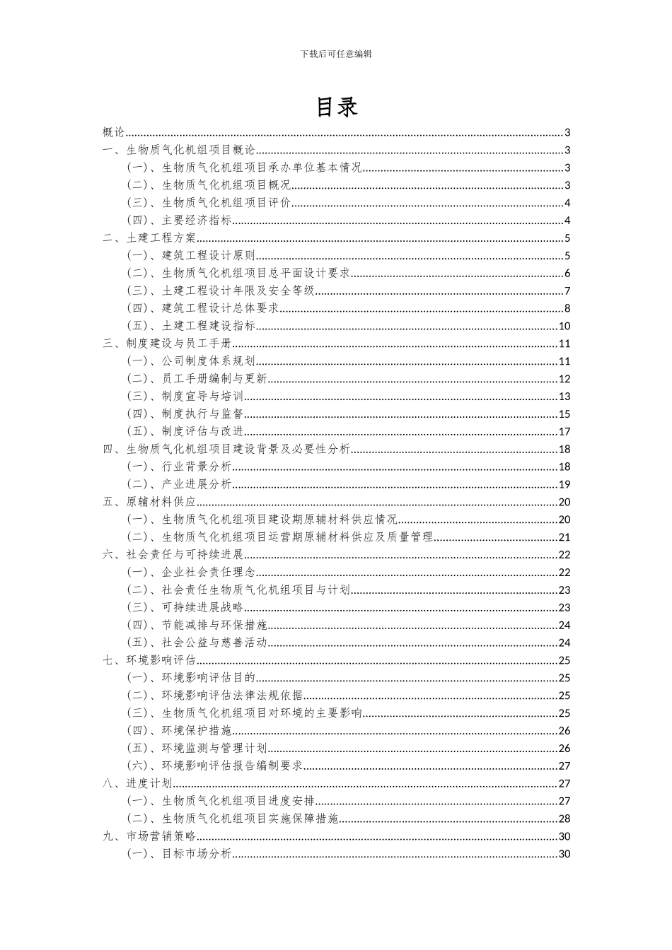 2024年生物质气化机组项目可行性分析报告_第2页