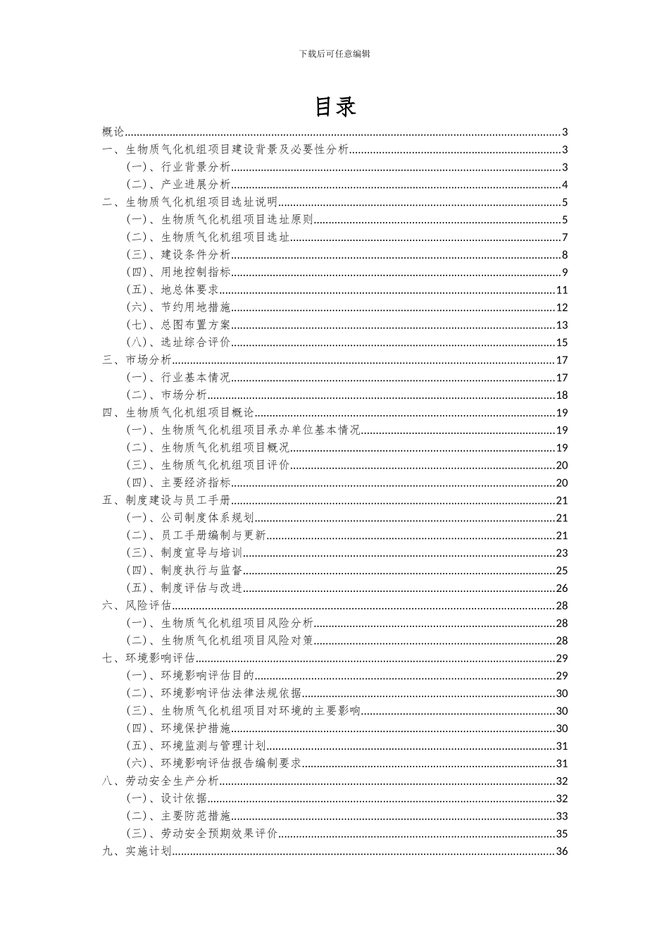 2024年生物质气化机组项目可行性研究报告_第2页
