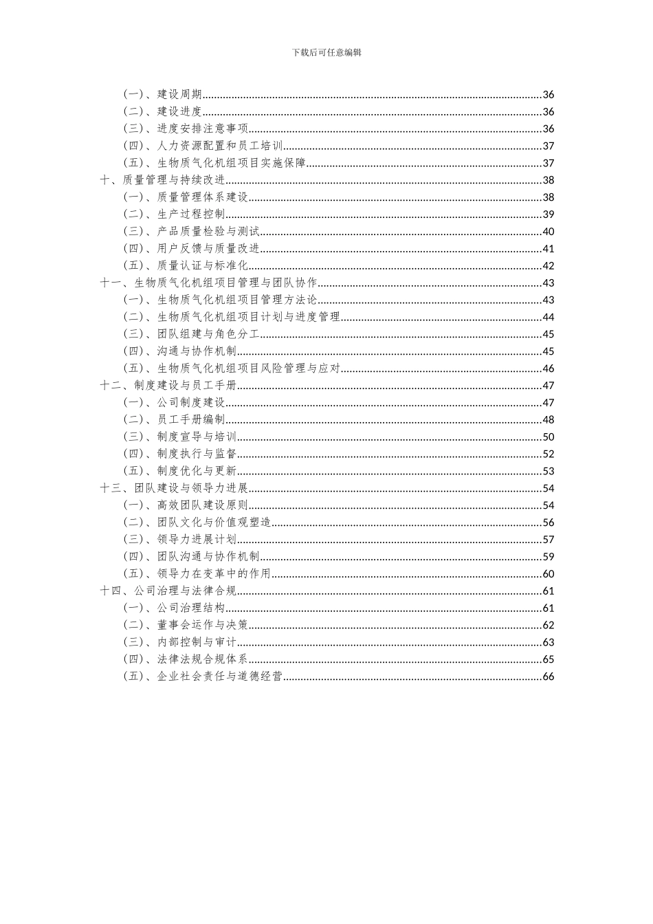 2024年生物质气化机组项目可行性研究报告_第3页