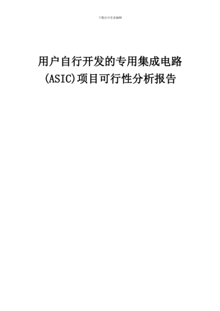 2024年用户自行开发的专用集成电路(ASIC)项目可行性分析报告