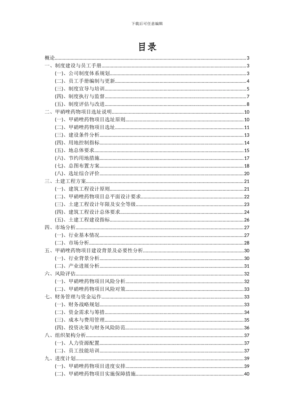 2024年甲硝唑药物项目可行性分析报告_第2页