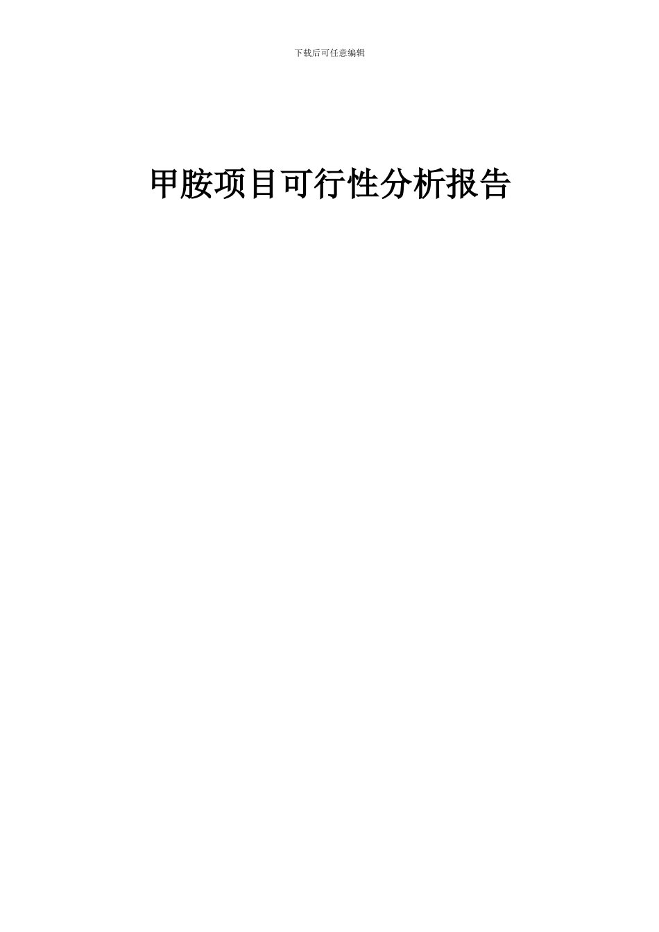 2024年甲胺项目可行性分析报告_第1页