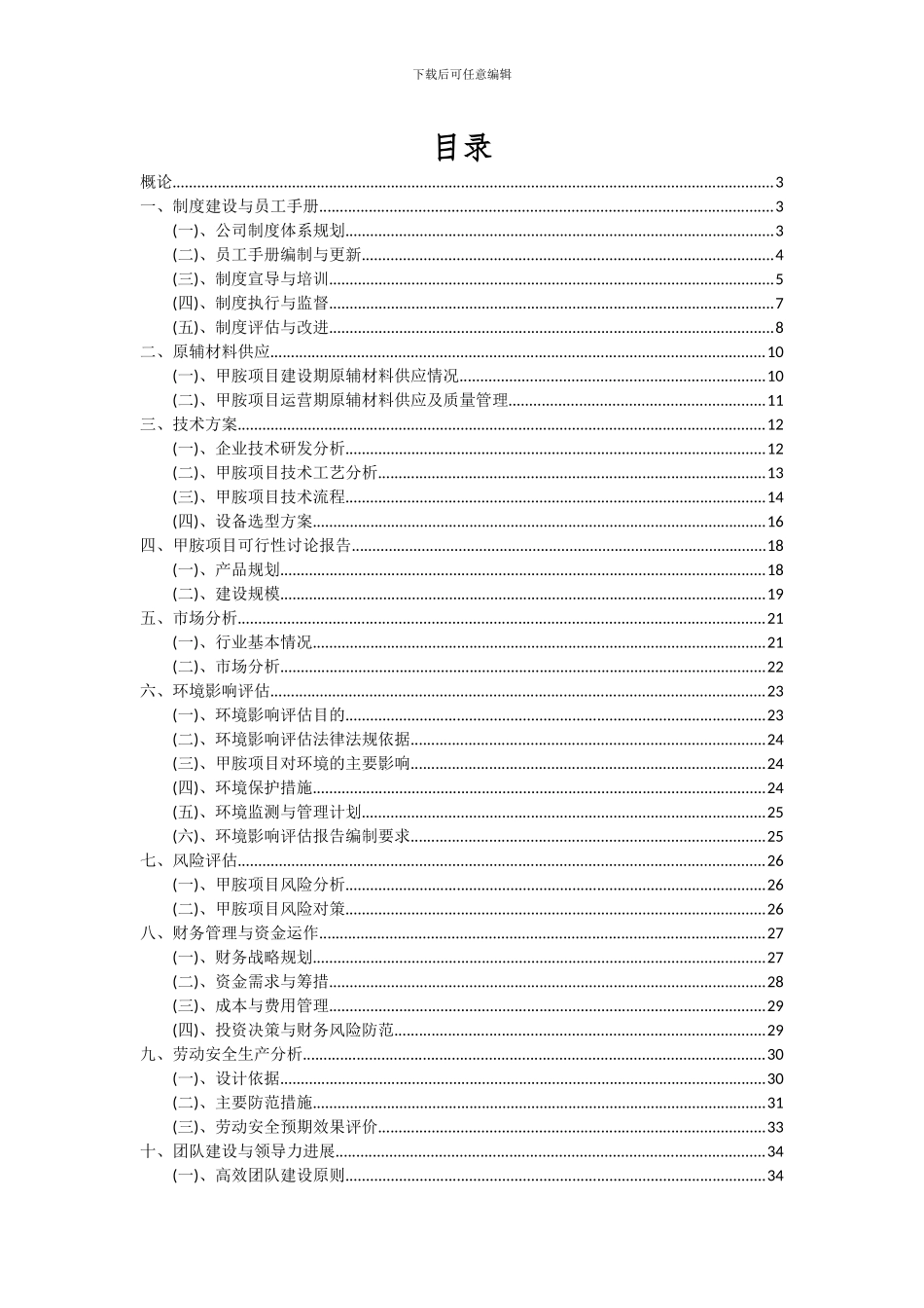 2024年甲胺项目可行性分析报告_第2页