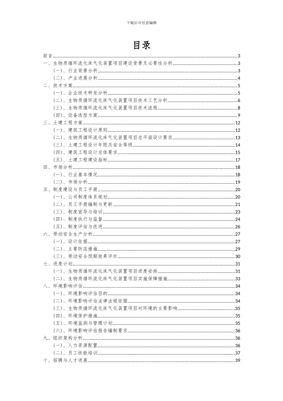 2024年生物质循环流化床气化装置项目可行性研究报告_第2页