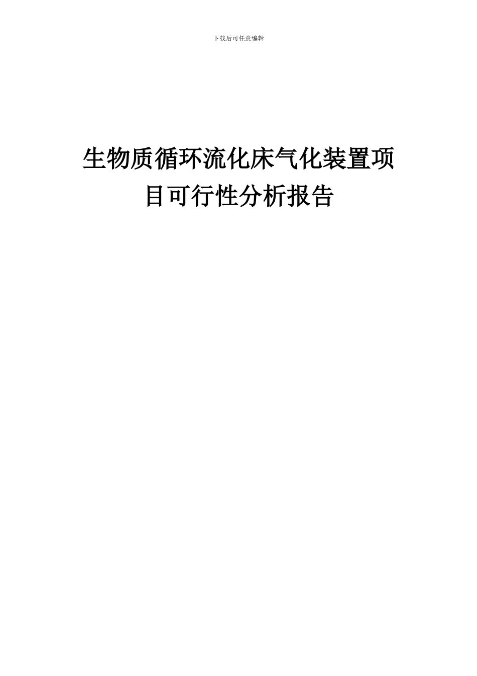 2024年生物质循环流化床气化装置项目可行性分析报告_第1页