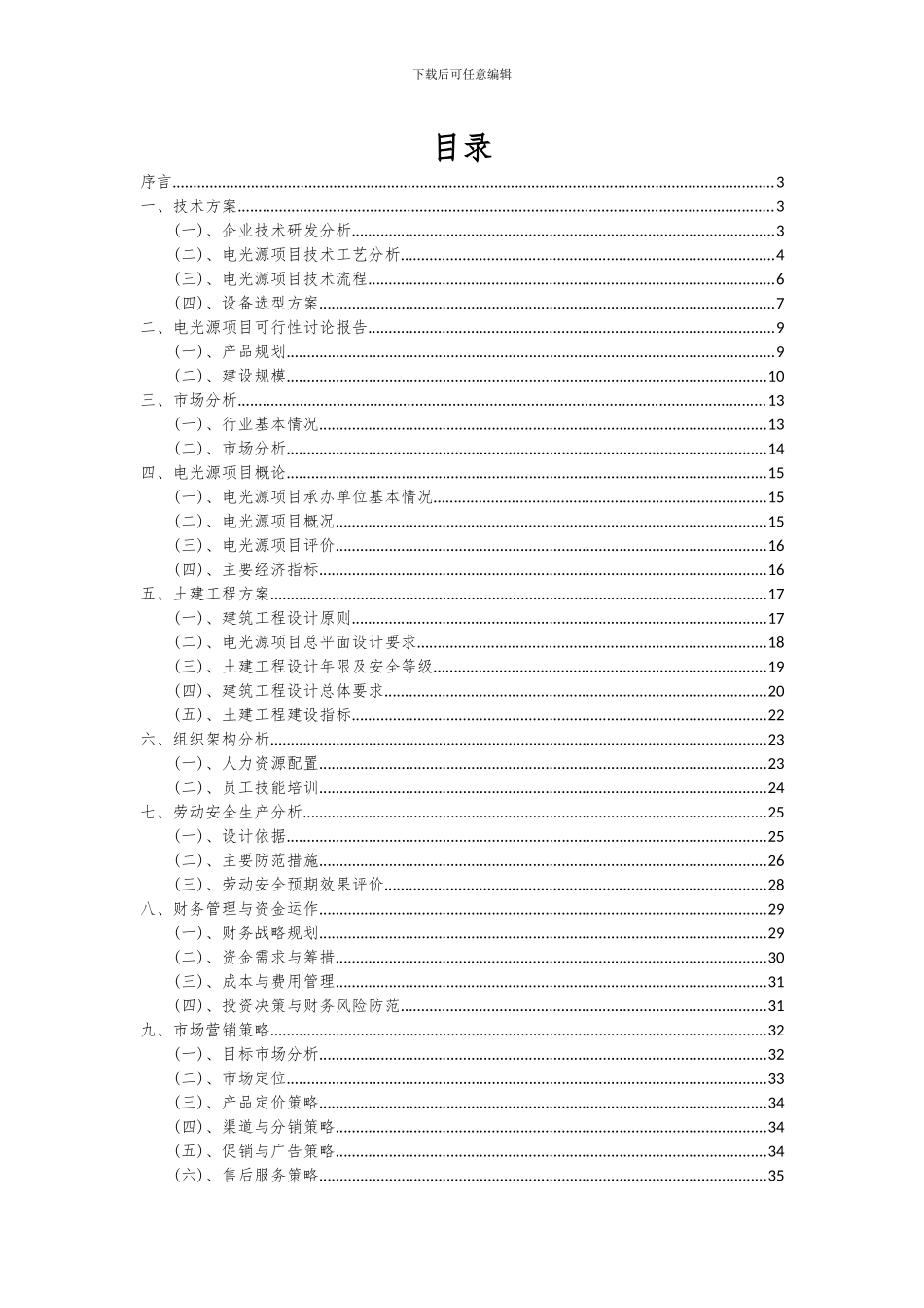 2024年电光源项目深度研究分析报告_第2页